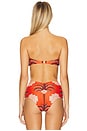 view 3 of 4 Sea Sprite Bikini Top in Red, Wine & Pink