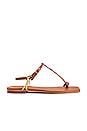 view 1 of 5 Sun Downer Sandals in Wood Chocolate