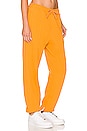 view 2 of 5 Essentials Fleece Pant in Light Curry & Sail