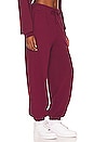 view 2 of 4 PANTALON FLIGHT in Cherrywood Red