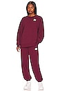 view 4 of 4 PANTALON FLIGHT in Cherrywood Red