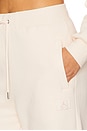 view 6 of 6 Flight Fleece Pants in Guava Ice