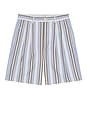 view 1 of 4 Hugh Shorts in Blue Multi Stripe