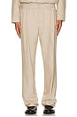 view 3 of 5 Duncan Single Pleat Pull On Pants in Natural Linen