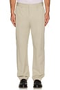 view 3 of 5 Zack Straight Leg Pants in Cashmere