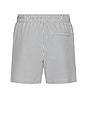 view 2 of 4 Swim Trunks in Midnight Stripe