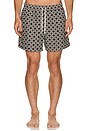 view 1 of 5 Malachi Swim Shorts in Chocolate Ivory