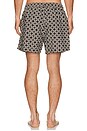 view 2 of 5 Malachi Swim Shorts in Chocolate Ivory