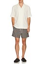 view 3 of 5 Malachi Swim Shorts in Chocolate Ivory
