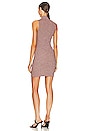 view 3 of 4 Cade Lace Up Dress in Mahogany Multi