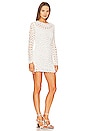 view 2 of 3 Mccall Cage Crochet Embroidery Mini Dress in White
