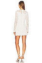 view 3 of 3 Mccall Cage Crochet Embroidery Mini Dress in White