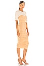 view 2 of 3 Charleigh Rayon Ruche Dress in Butterscotch & Parchment