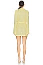 view 3 of 3 Tammie Long Sleeve Mini Dress in Buttercream