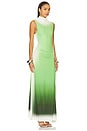 view 2 of 3 Aldina Sleeveless Midi Dress in Chromatic Vine