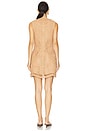 view 3 of 3 Coen Mini Dress in Straw