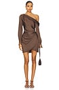 view 1 of 4 Cameron Dress in Cocoa