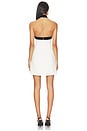view 3 of 3 Jolie Mini Dress With Neck Tie in Ivory Multi