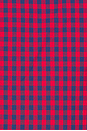 view 4 of 4 Sloan Mini Dress in Scarlet Midnight Gingham