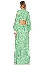 view 3 of 3 Adelaide Maxi Dress in Kelly Abstract Fern