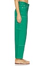 view 2 of 6 Xavier Carpenter Pant in Kelly Green