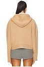 view 3 of 4 Dakota Cropped Hoodie in Camel