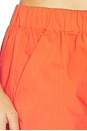 view 6 of 6 Arden Pull On Pant in Lobster