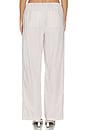 view 4 of 6 PANTALÓN PANT in Sand Gingham