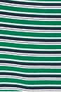view 5 of 5 POLO EN MAILLE MARNIE in Kelly Green Stripe