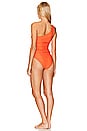 view 3 of 3 Huntley One Piece Swimsuit in Flame