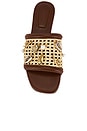 view 4 of 5 Caspian Raffia Netted Flat Sandal in Sequoia Natural