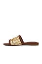 view 5 of 5 Caspian Raffia Netted Flat Sandal in Sequoia Natural
