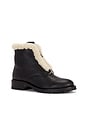 view 2 of 5 BOTTINES NOAH  in Black & Ecru