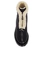 view 5 of 5 BOTTINES NOAH  in Black & Ecru