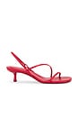 view 1 of 5 Cedonia Strappy Kitten Heel Sandal in Rose