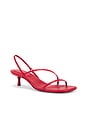 view 2 of 5 Cedonia Strappy Kitten Heel Sandal in Rose