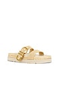 view 2 of 5 Aida Buckle Sandal in Natural