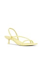 view 2 of 5 Cedonia Stud Strappy Kitten Heel Sandal in Buttercream
