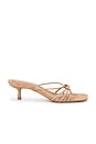 view 1 of 5 Amaya Suede Strappy Kitten Heel in Camel
