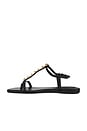 view 5 of 5 SANDALES AMAYA in Black