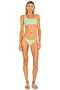 view 4 of 4 HAUT DE MAILLOT DE BAIN APEX in Cactus