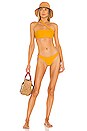 view 4 of 4 BAS DE MAILLOT DE BAIN MOST WANTED in Golden