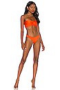 view 4 of 4 Expose Bikini Bottom in Orange Sheen