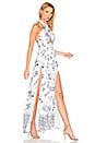 view 2 of 3 Zulu Maxi Dress in Zulu Print