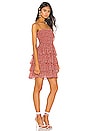 view 2 of 4 MINIVESTIDO LOVE IS IN THE AIR in Love Is In the Air Ditzy Print