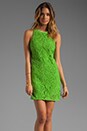 view 1 of 6 Guipuere Lace Dress in Sour Apple