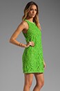 view 3 of 6 Guipuere Lace Dress in Sour Apple