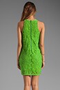 view 4 of 6 Guipuere Lace Dress in Sour Apple