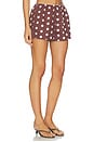 view 2 of 6 SHORT BIBI in Brown Polka Dot