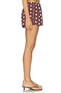 view 3 of 6 SHORT BIBI in Brown Polka Dot